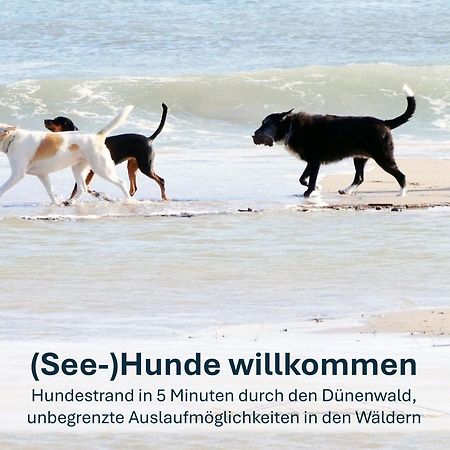 Paradies-Ambiente - Strandnah, Sauna, Kamin, Hundefreundlich Ostseebad Ostseebad Zinnowitz Exterior foto